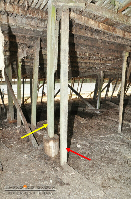 Figure 4: Columns below the floor of Barn X that depict additional ‘L’-shaped lumber members (red arrows) installed adjacent to the existing main columns with concrete bases (yellow arrows).