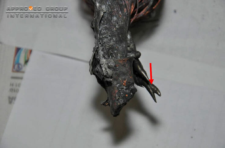 The electrical cables connected to the starter motors were removed for a closer inspection. One (1) part of the cable revealed signs of molten copper (red arrow) with a protruding shape. Another cable was found with a terminal.